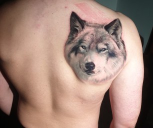 Tatouage realiste animaux portrait loup noir et gris