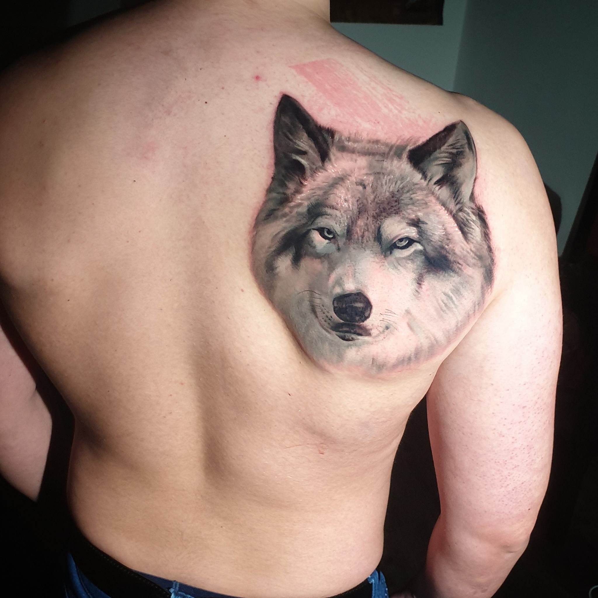 Tatouage realiste animaux portrait loup noir et gris