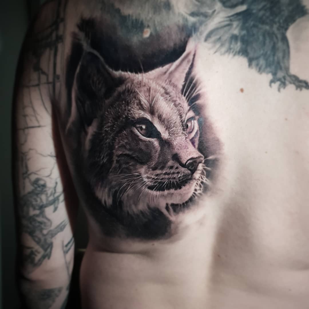 Tatouage realiste animaux lynx noir et gris