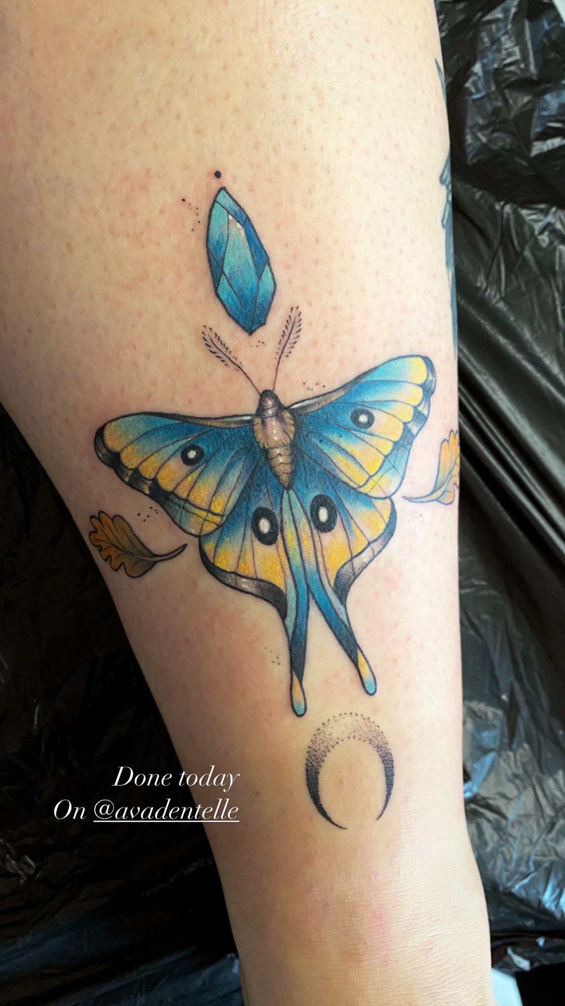 papillon tatouage couleurs